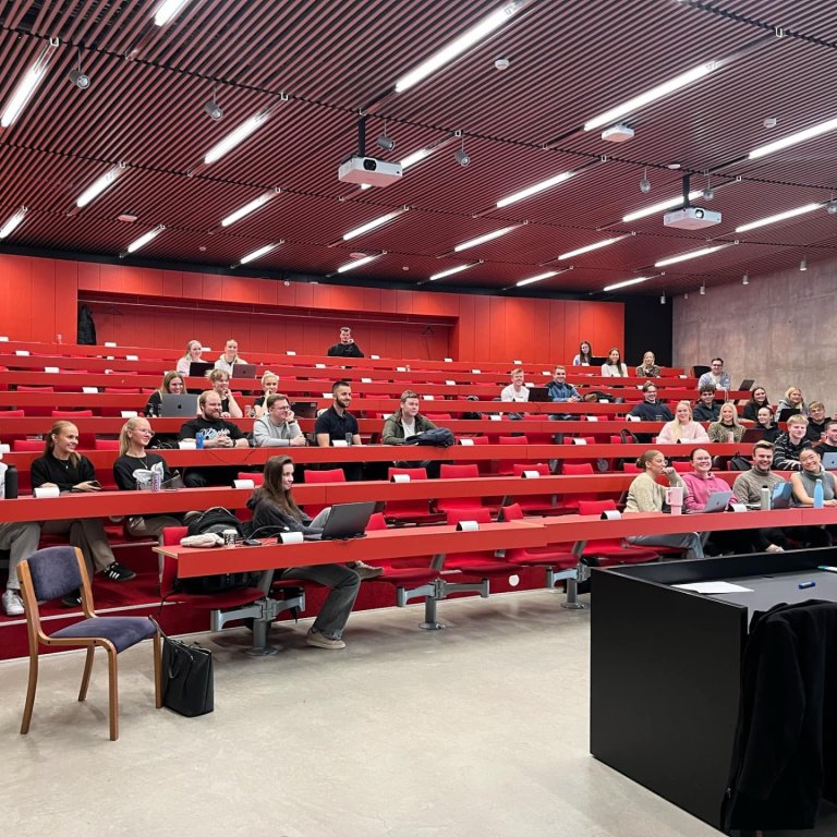 Unga fólkið og endurskoðun